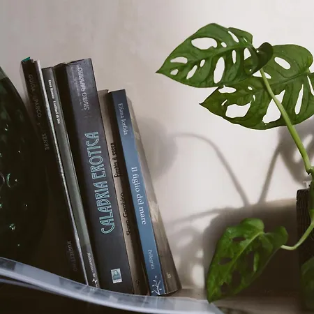 Oda ve Kahvaltı Perla